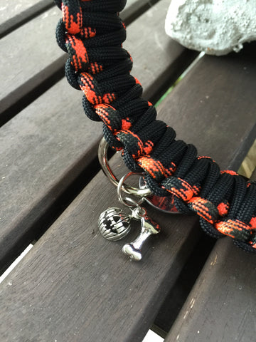 The Jack-O-Lantern Collection